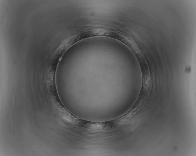X0000090930473200707301559