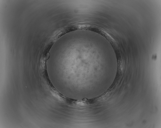 X0000090930475200707301559