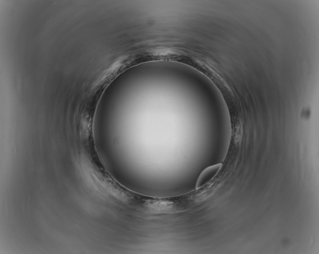 X0000090930476200707301559