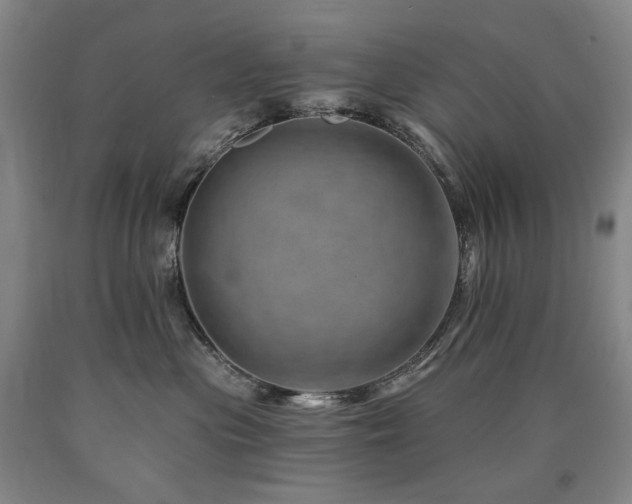 X0000090930477200707301559