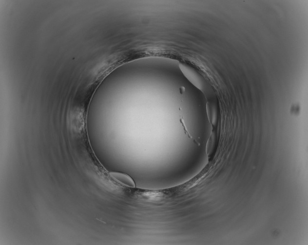 X0000090930478200707301559