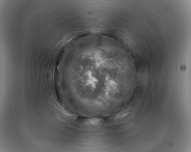 X0000090930479200707301559