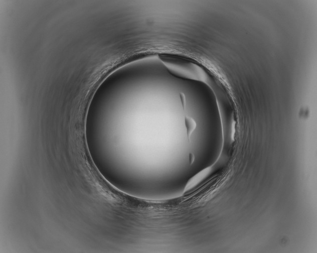 X0000090930481200707301558