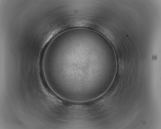 X0000090930482200707301558