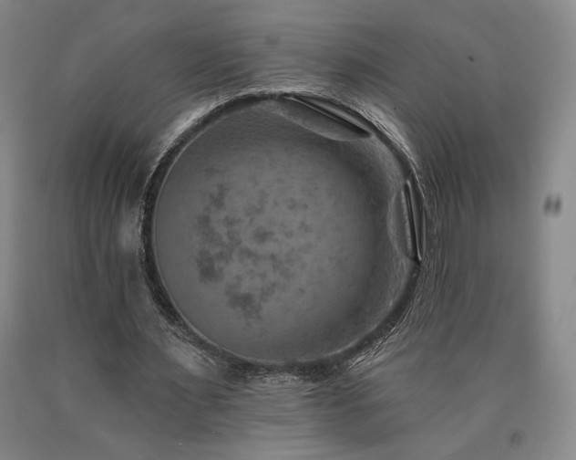 X0000090930483200707301558