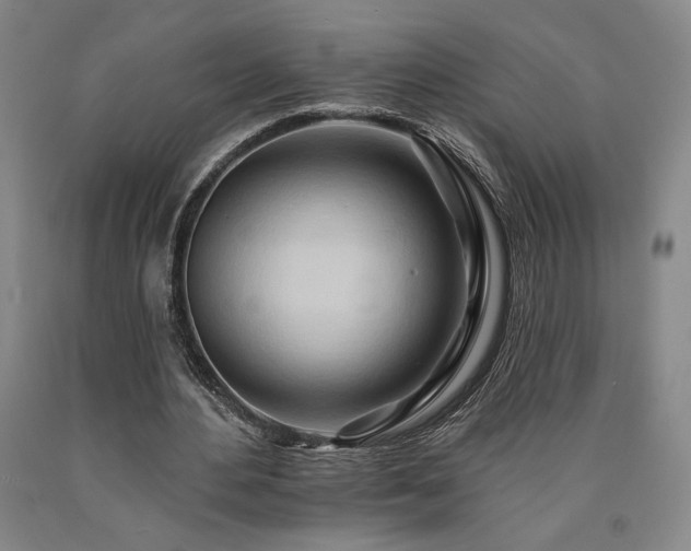 X0000090930484200707301558