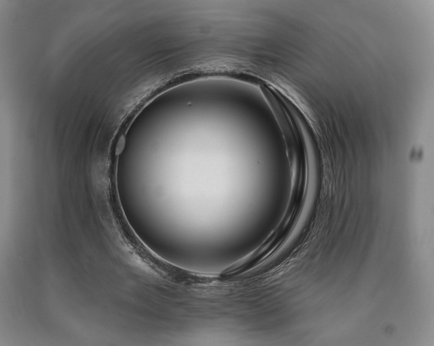 X0000090930485200707301558