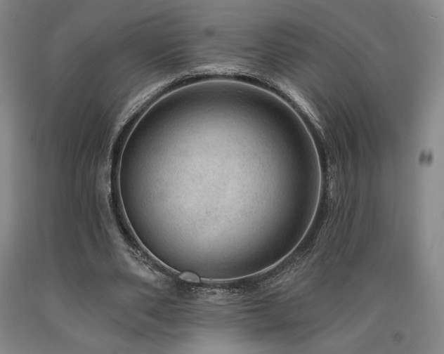 X0000090930486200707301558