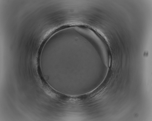 X0000090930487200707301558