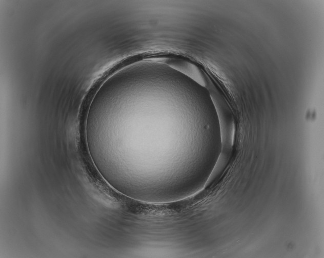 X0000090930488200707301558