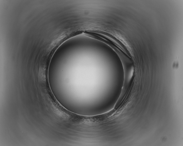 X0000090930489200707301558