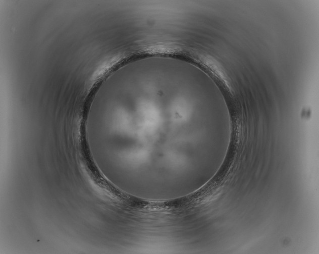 X0000090930491200707301558
