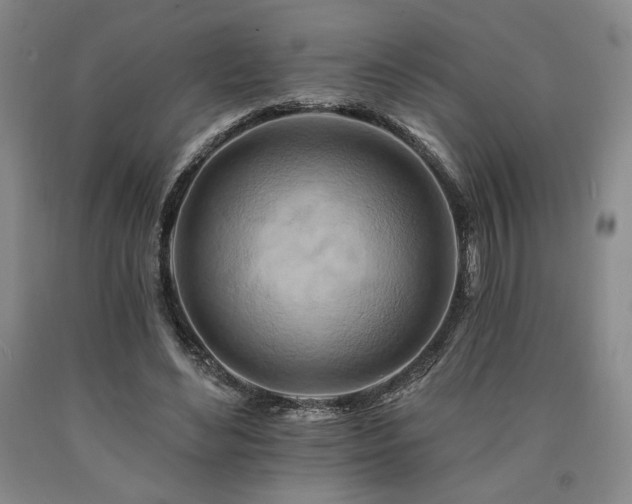 X0000090930492200707301558