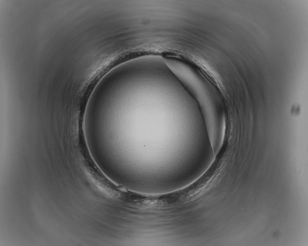 X0000090930493200707301558