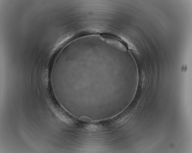 X0000090930494200707301558