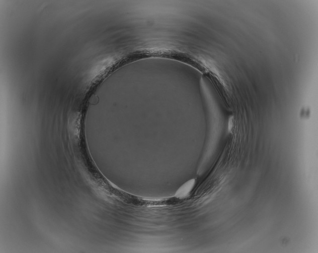 X0000090930495200707301558