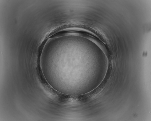 X0000090930496200707301558