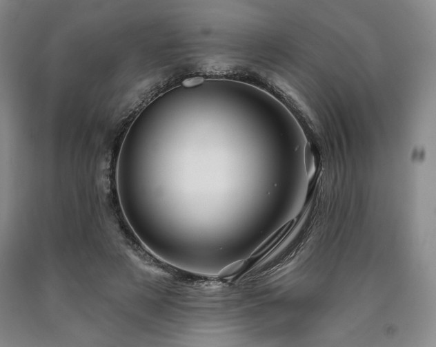 X0000090930497200707301558