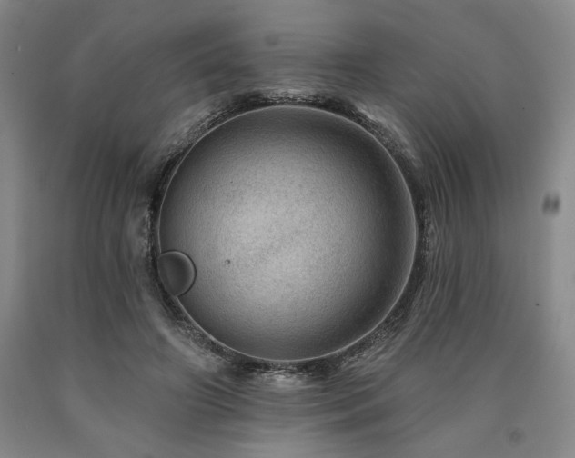X0000090930498200707301558