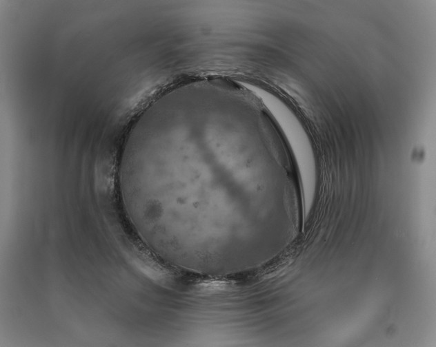X0000090930499200707301558