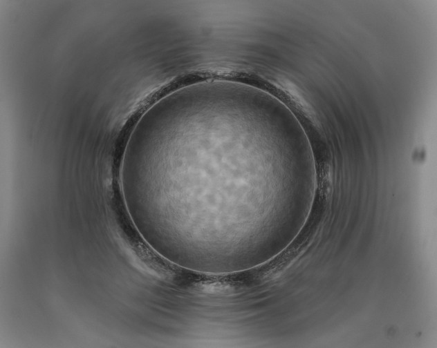 X0000090930500200707301558