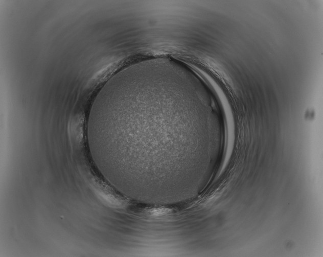 X0000090930501200707301558