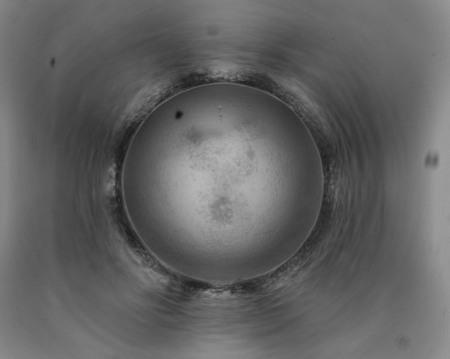 X0000090930502200707301558