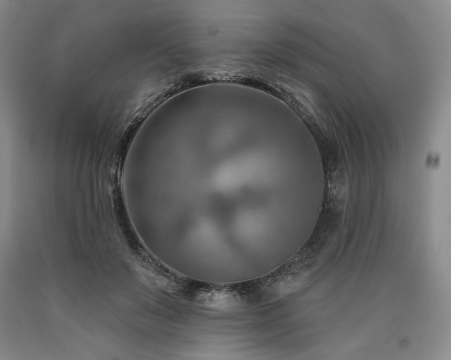 X0000090930503200707301558