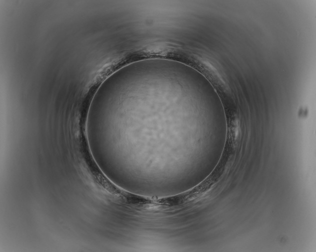 X0000090930504200707301558