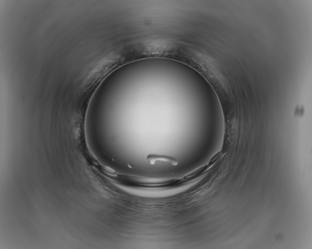 X0000090930505200707301558
