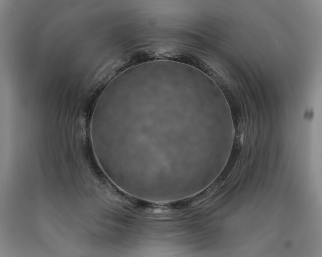 X0000090930506200707301558