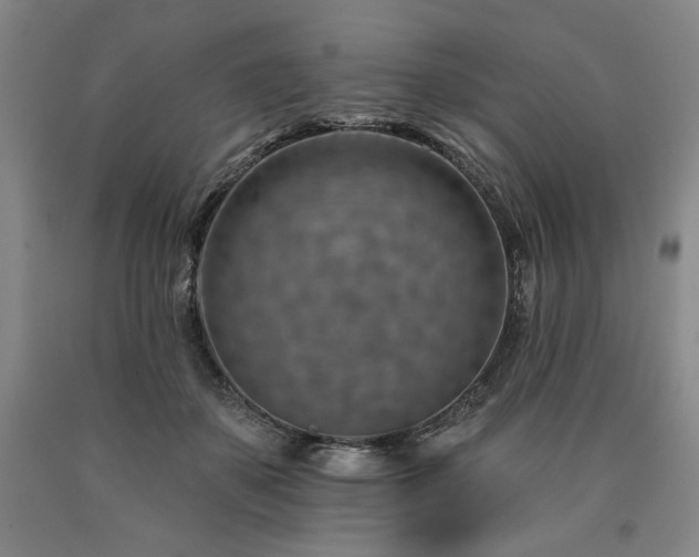 X0000090930507200707301558