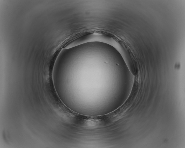 X0000090930508200707301558
