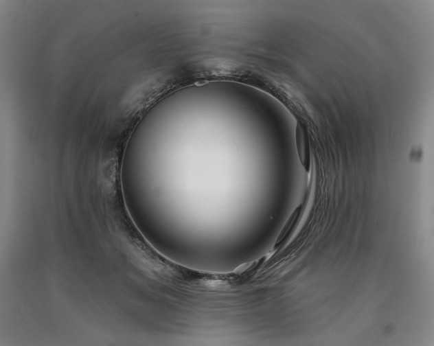 X0000090930509200707301558