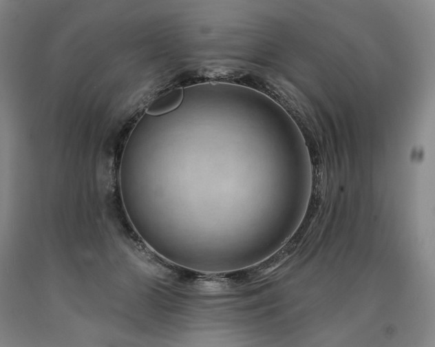 X0000090930510200707301558