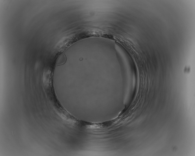 X0000090930511200707301558