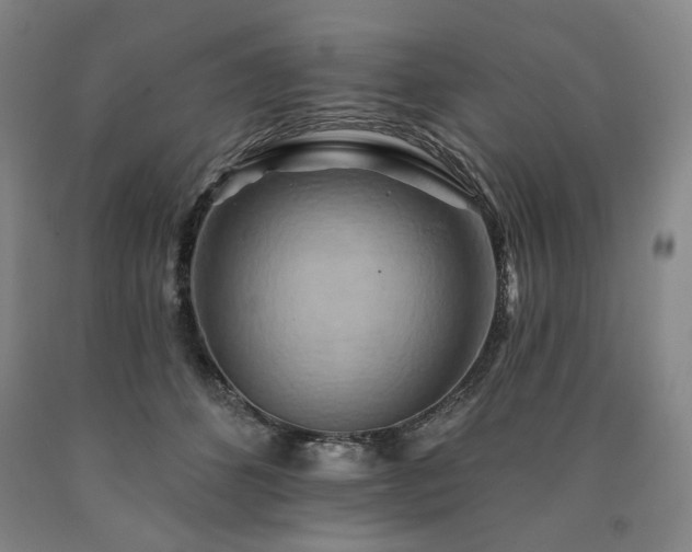 X0000090930512200707301558