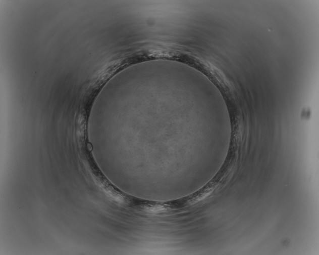 X0000090930513200707301558