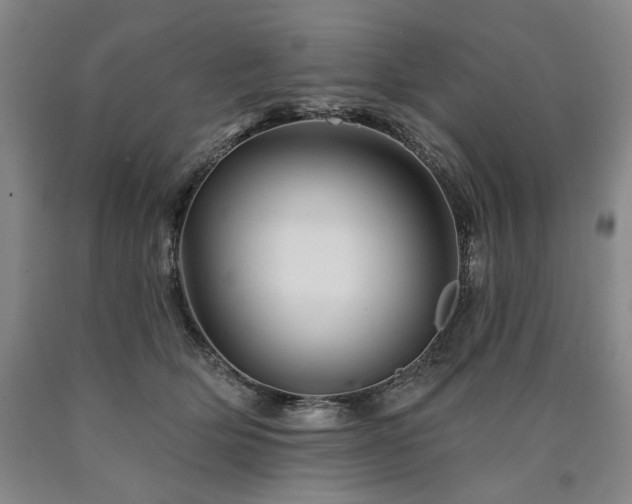 X0000090930514200707301558
