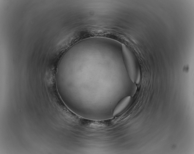 X0000090930515200707301558