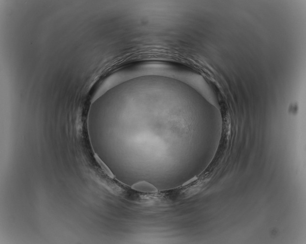 X0000090930516200707301558