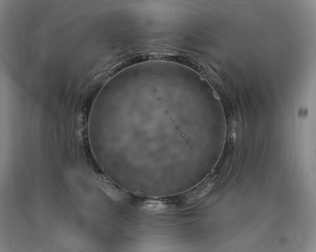 X0000090930519200707301558