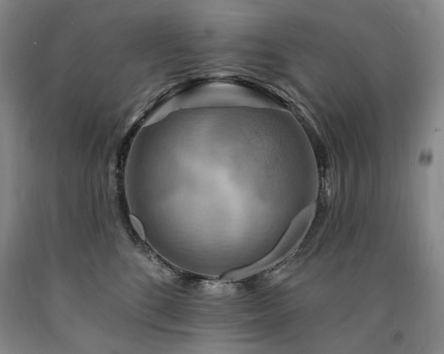 X0000090930520200707301558