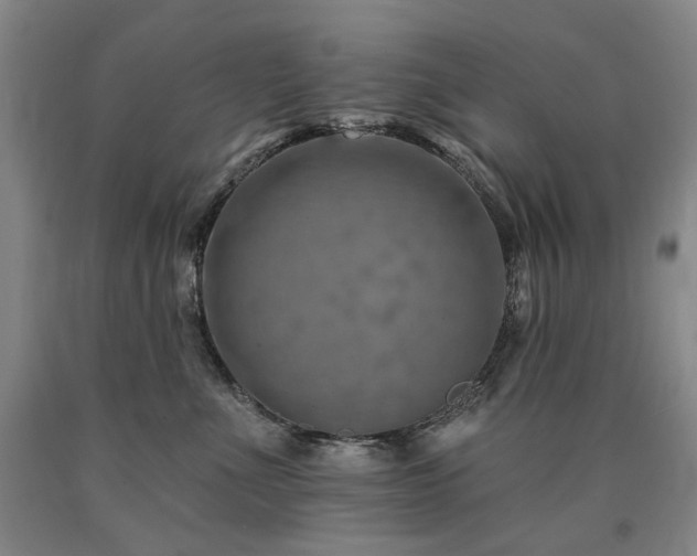 X0000090930523200707301558
