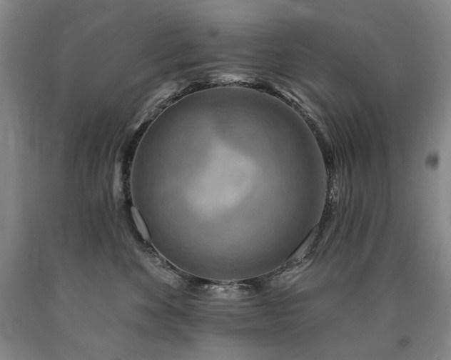 X0000090930524200707301558