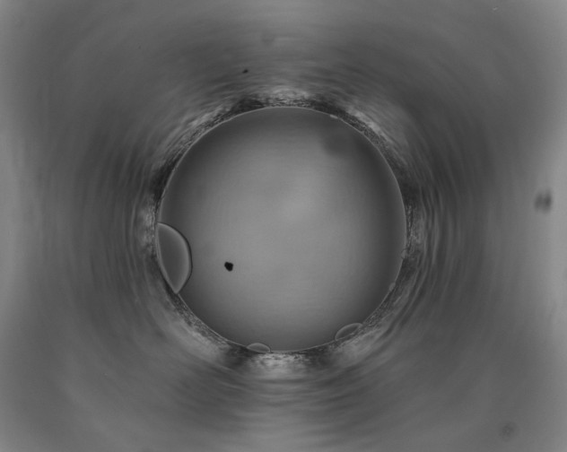X0000090930526200707301558