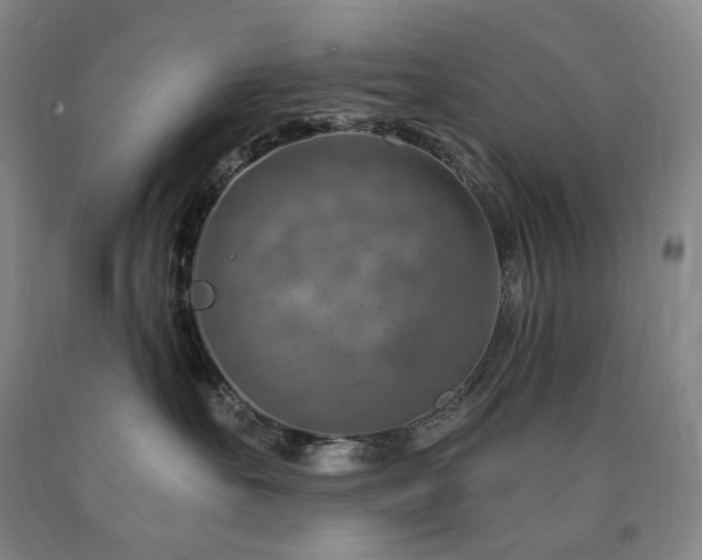 X0000090930527200707301558
