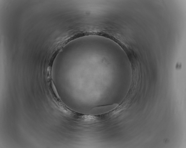 X0000090930528200707301558