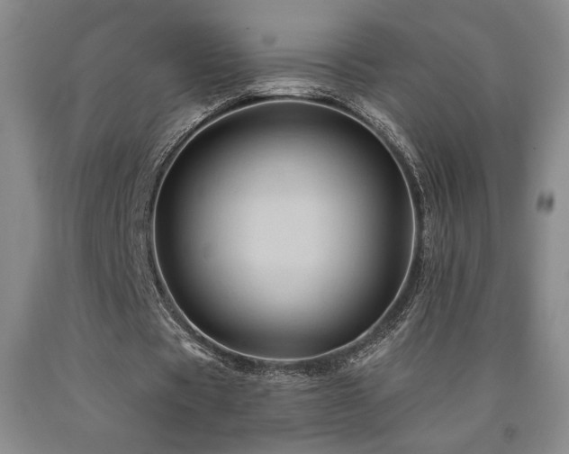 X0000090930529200707301557