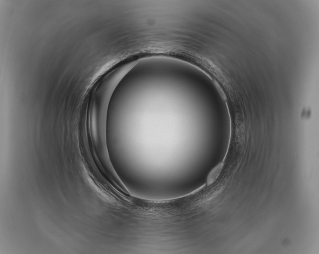 X0000090930530200707301557
